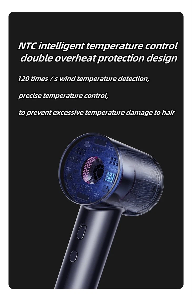 Dual Voltage Professional Hair Dryer
